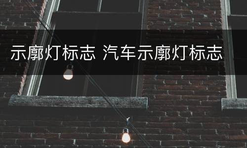 示廓灯标志 汽车示廓灯标志