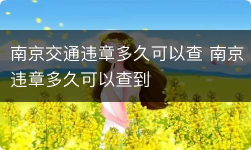 南京交通违章多久可以查 南京违章多久可以查到