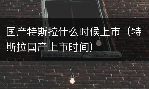 国产特斯拉什么时候上市（特斯拉国产上市时间）