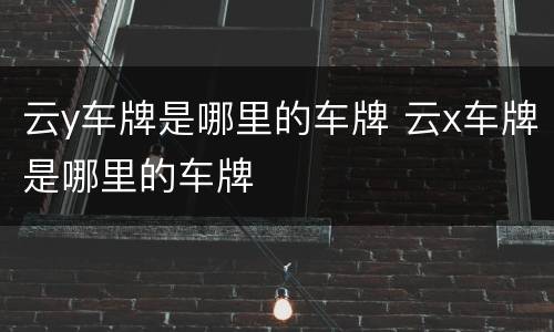 云y车牌是哪里的车牌 云x车牌是哪里的车牌