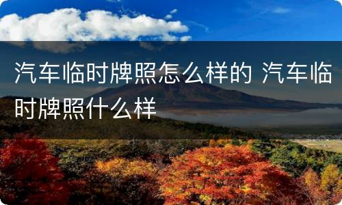 汽车临时牌照怎么样的 汽车临时牌照什么样