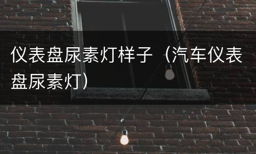 仪表盘尿素灯样子（汽车仪表盘尿素灯）