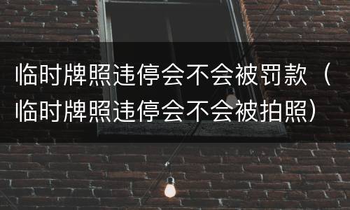 临时牌照违停会不会被罚款（临时牌照违停会不会被拍照）