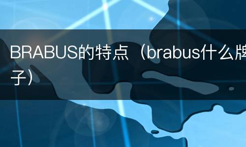 BRABUS的特点（brabus什么牌子）