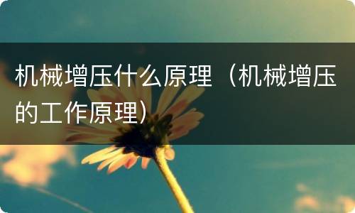 机械增压什么原理（机械增压的工作原理）