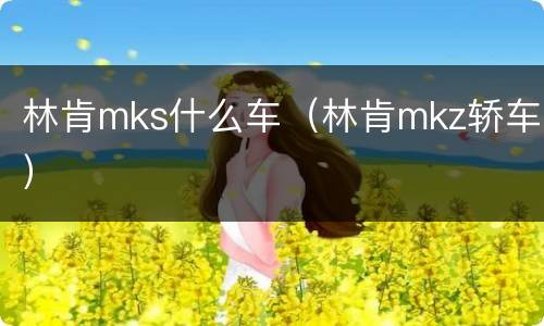 林肯mks什么车（林肯mkz轿车）