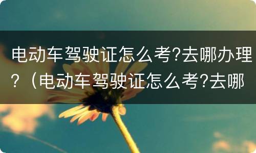 电动车驾驶证怎么考?去哪办理?（电动车驾驶证怎么考?去哪办理业务）