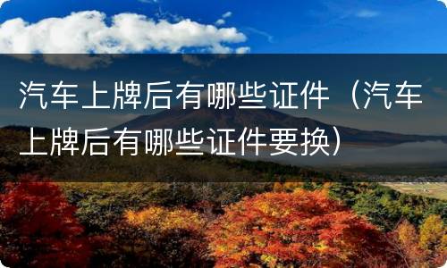 汽车上牌后有哪些证件（汽车上牌后有哪些证件要换）
