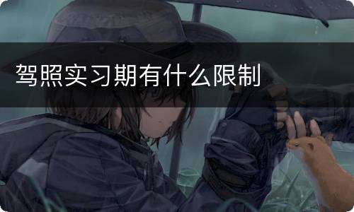 驾照实习期有什么限制