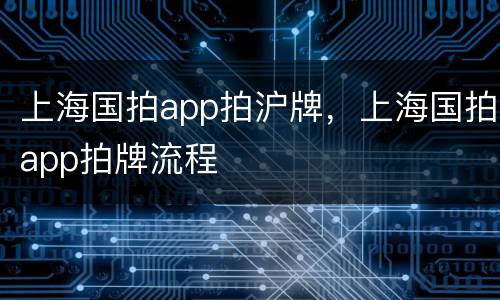 上海国拍app拍沪牌，上海国拍app拍牌流程