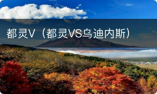 都灵V（都灵VS乌迪内斯）