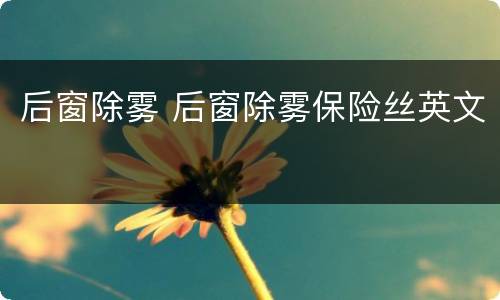 后窗除雾 后窗除雾保险丝英文