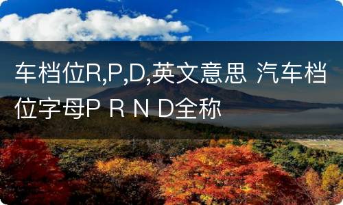 车档位R,P,D,英文意思 汽车档位字母P R N D全称