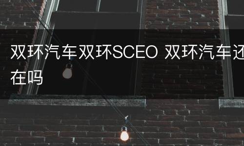 双环汽车双环SCEO 双环汽车还在吗
