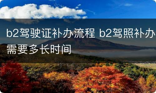 b2驾驶证补办流程 b2驾照补办需要多长时间