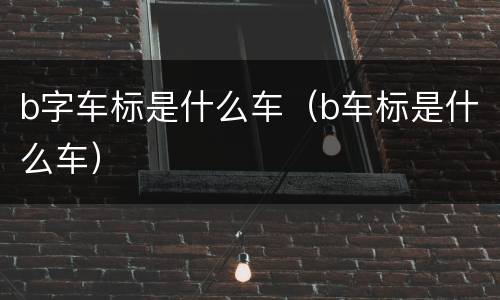 b字车标是什么车（b车标是什么车）