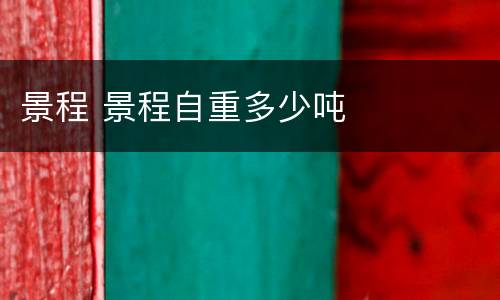 景程 景程自重多少吨