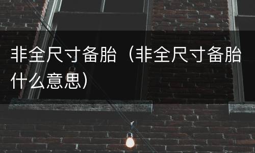非全尺寸备胎（非全尺寸备胎什么意思）