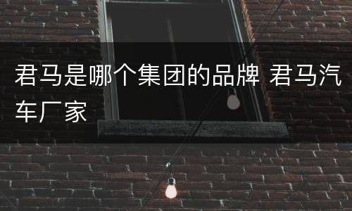 君马是哪个集团的品牌 君马汽车厂家