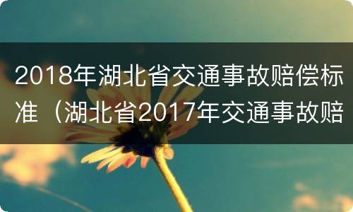 2018年湖北省交通事故赔偿标准（湖北省2017年交通事故赔偿标准）