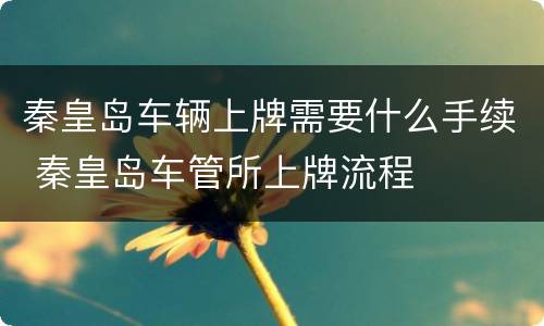 秦皇岛车辆上牌需要什么手续 秦皇岛车管所上牌流程