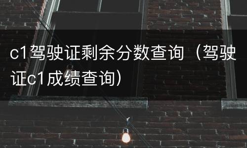 c1驾驶证剩余分数查询（驾驶证c1成绩查询）