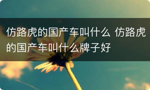 仿路虎的国产车叫什么 仿路虎的国产车叫什么牌子好