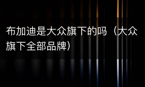 布加迪是大众旗下的吗（大众旗下全部品牌）
