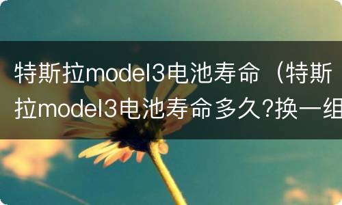 特斯拉model3电池寿命（特斯拉model3电池寿命多久?换一组电池多少钱?）