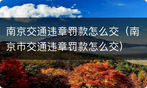 南京交通违章罚款怎么交（南京市交通违章罚款怎么交）