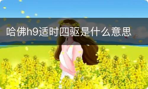 哈佛h9适时四驱是什么意思