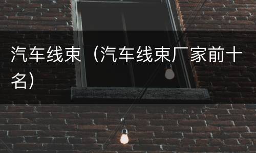 汽车线束（汽车线束厂家前十名）