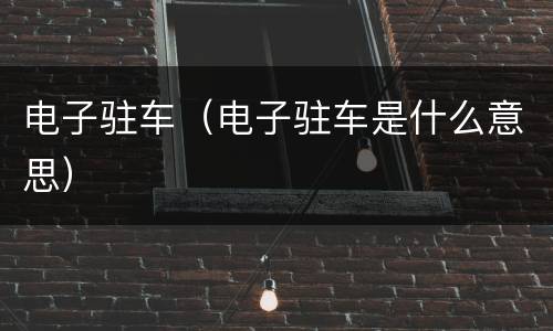 电子驻车（电子驻车是什么意思）