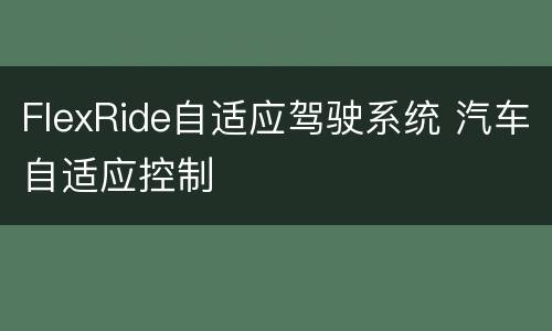 FlexRide自适应驾驶系统 汽车自适应控制