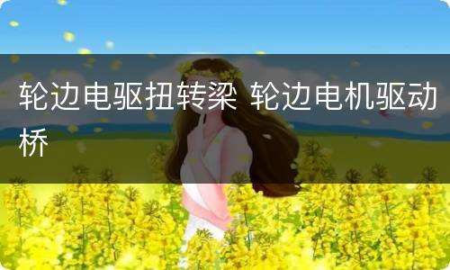 轮边电驱扭转梁 轮边电机驱动桥