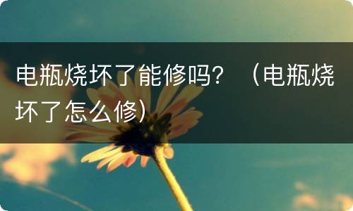 电瓶烧坏了能修吗？（电瓶烧坏了怎么修）