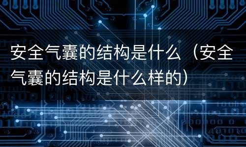 安全气囊的结构是什么（安全气囊的结构是什么样的）