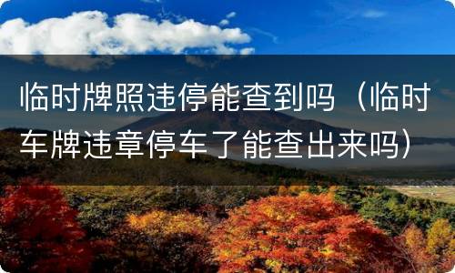 临时牌照违停能查到吗（临时车牌违章停车了能查出来吗）