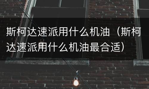 斯柯达速派用什么机油（斯柯达速派用什么机油最合适）
