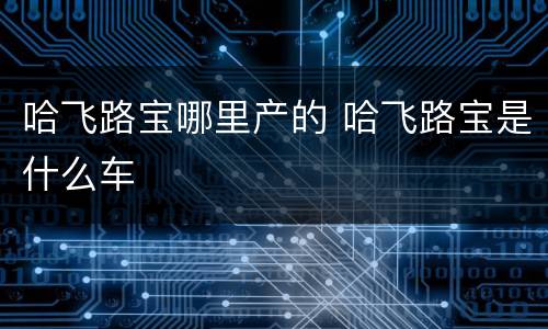 哈飞路宝哪里产的 哈飞路宝是什么车