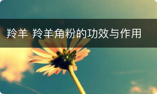 羚羊 羚羊角粉的功效与作用