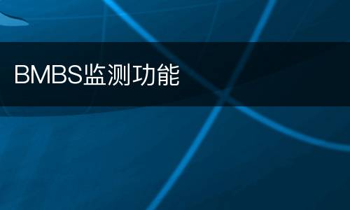 BMBS监测功能