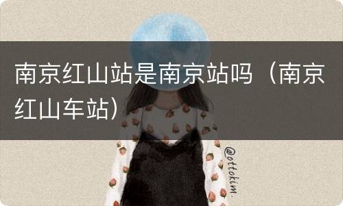 南京红山站是南京站吗（南京红山车站）