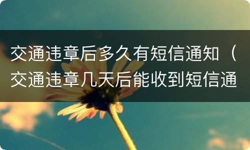 交通违章后多久有短信通知（交通违章几天后能收到短信通知）