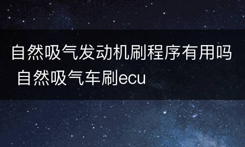 自然吸气发动机刷程序有用吗 自然吸气车刷ecu