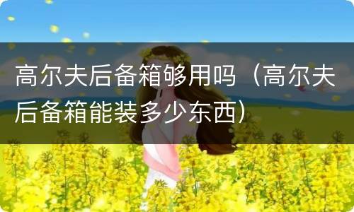 高尔夫后备箱够用吗（高尔夫后备箱能装多少东西）