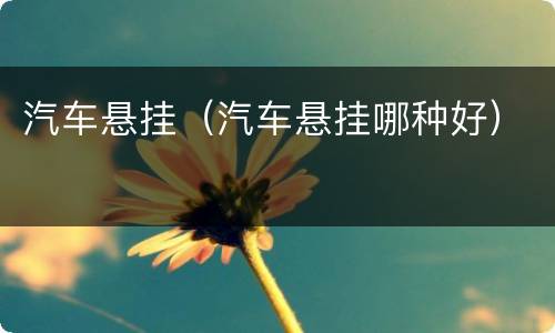 汽车悬挂（汽车悬挂哪种好）