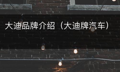 大迪品牌介绍（大迪牌汽车）