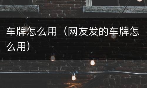 车牌怎么用（网友发的车牌怎么用）