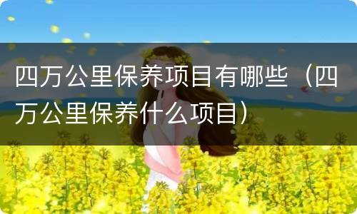 四万公里保养项目有哪些（四万公里保养什么项目）